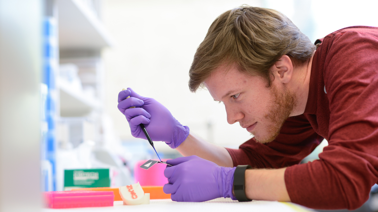 environmental health science faculty in lab