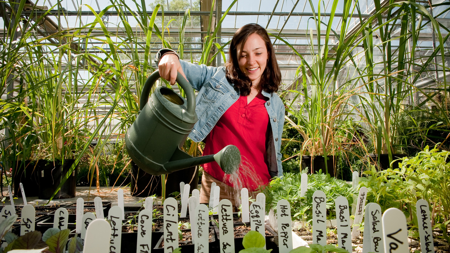 faculty watering plants