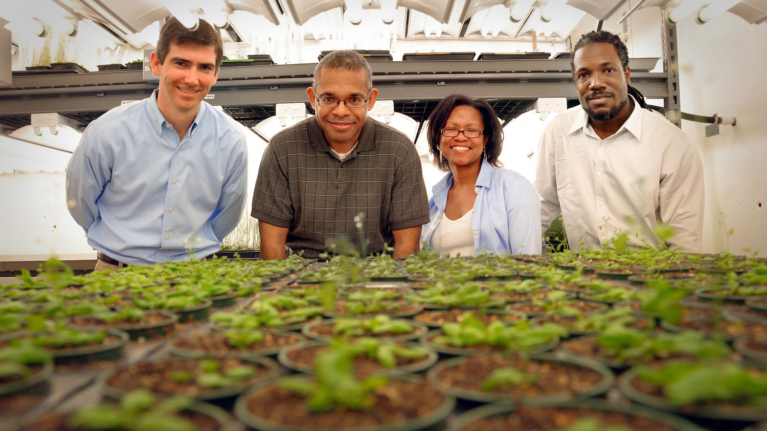 Synthetic and Systems biology cluster photo