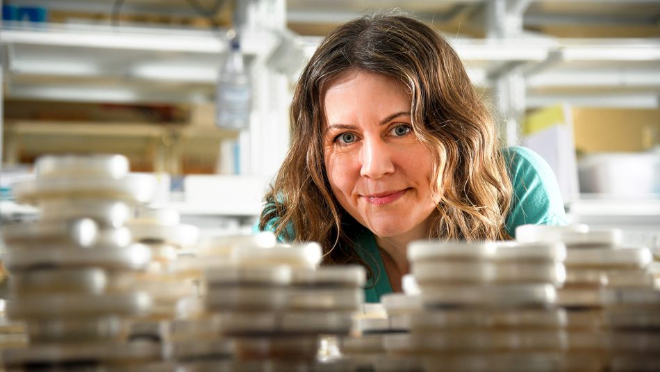 Christine Hawkes in her lab