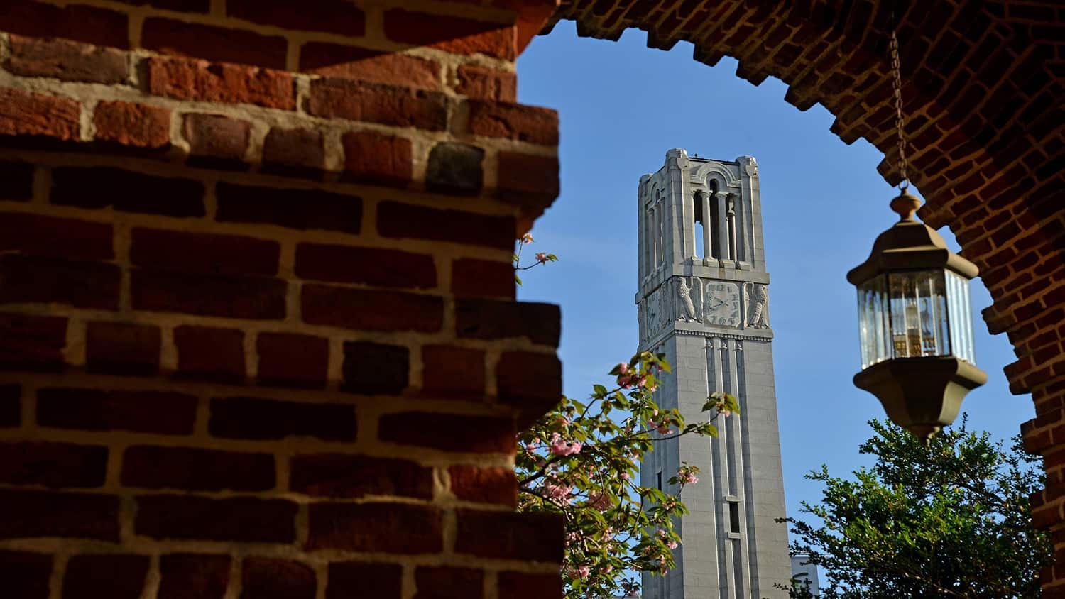 The Memorial Belltower framed under a brick arch on NC State's campus.